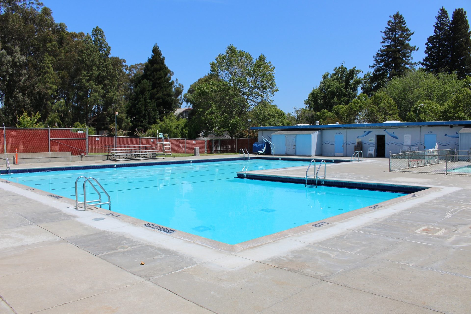 Swimming Lessons In San Bruno Ca